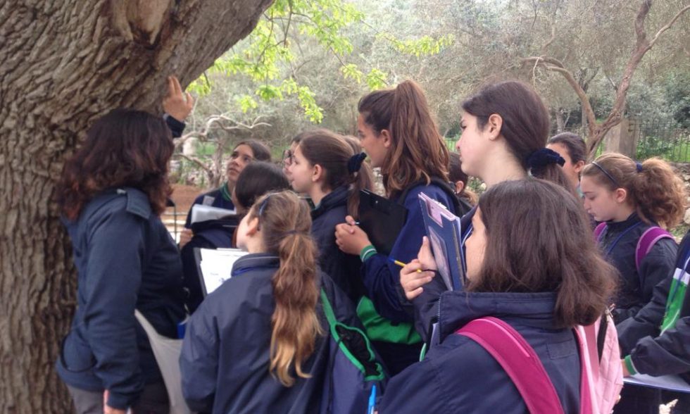 Science Fieldwork at Buskett Gardens