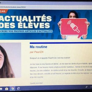 French On-Line Articles