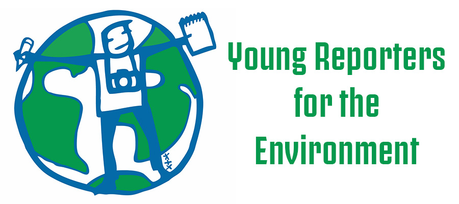 Young Reporters for the Environment – Results